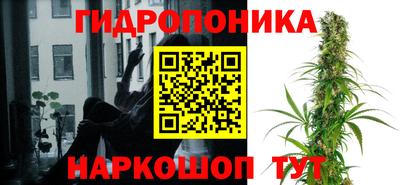 стафф Балаково