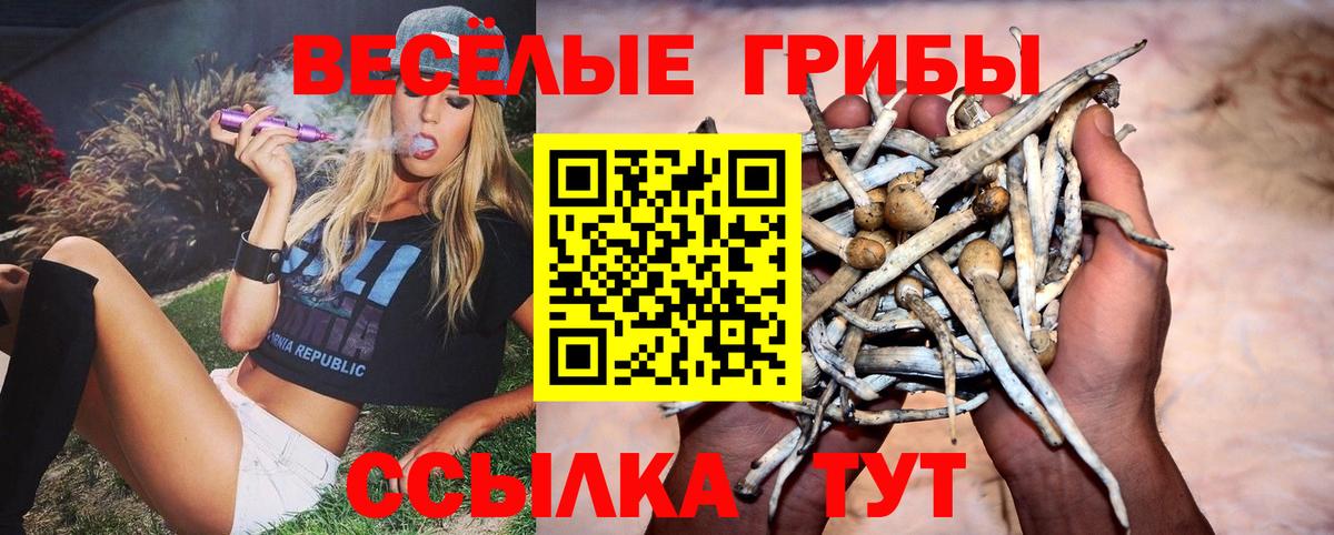 Галлюциногенные грибы GOLDEN TEACHER Гагарин