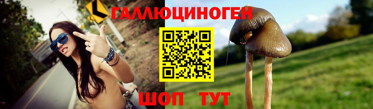 Псилоцибиновые грибы мицелий  Псилоцибиновые грибы ЛСД  Вход с VPN  Гагарин 
